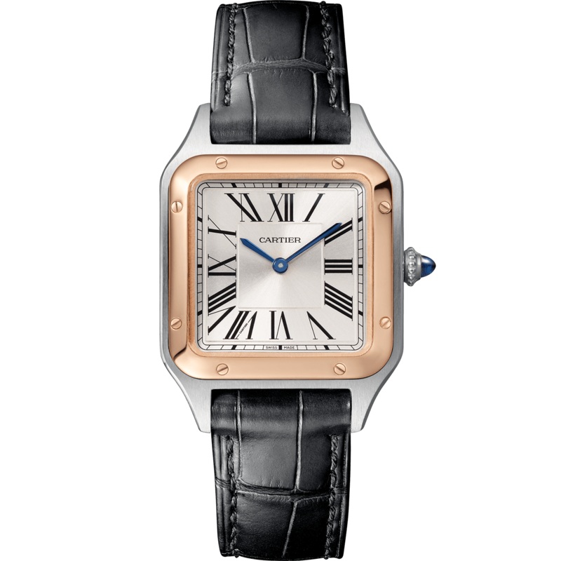 Cartier Santos-Dumont, Small Model (W2SA0012)